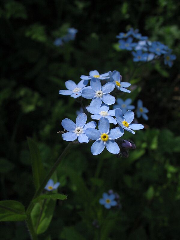 uno sguardo blu.......................verso il Garda