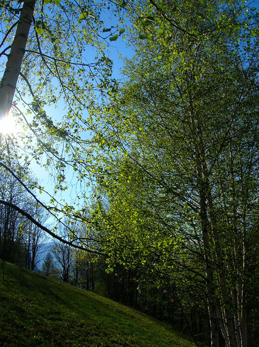 Signols e dintorni, Val di Susa