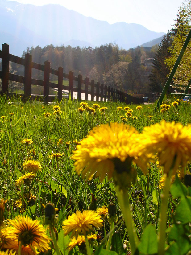 Signols e dintorni, Val di Susa