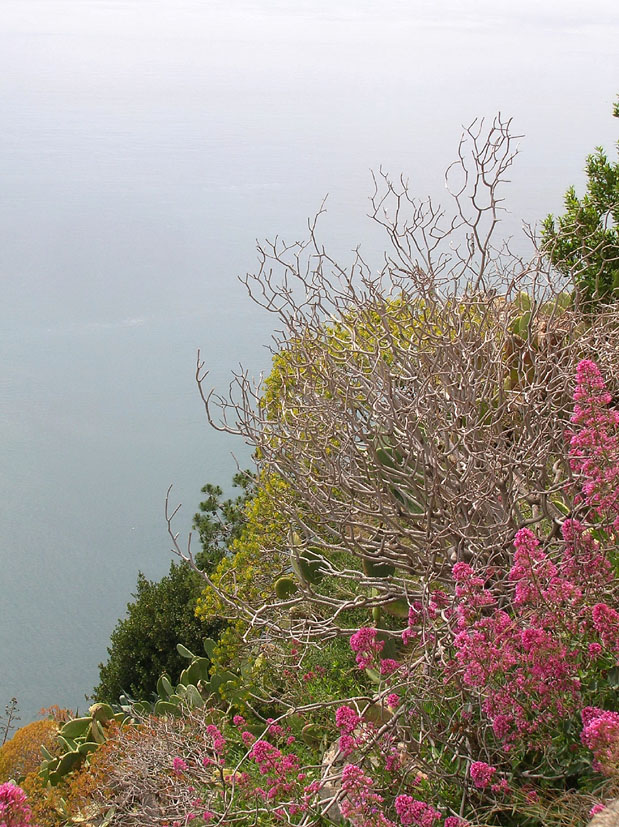 Liguria, 5 Terre e Palmaria