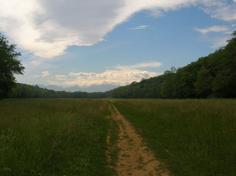 La stradina