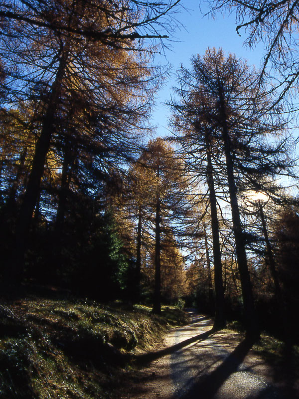 Monte Gronlait..........escursione