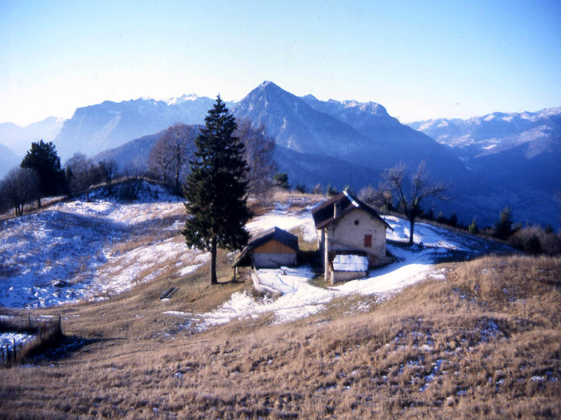 Crz delle Pozze....Monte Brugnl.......escursione