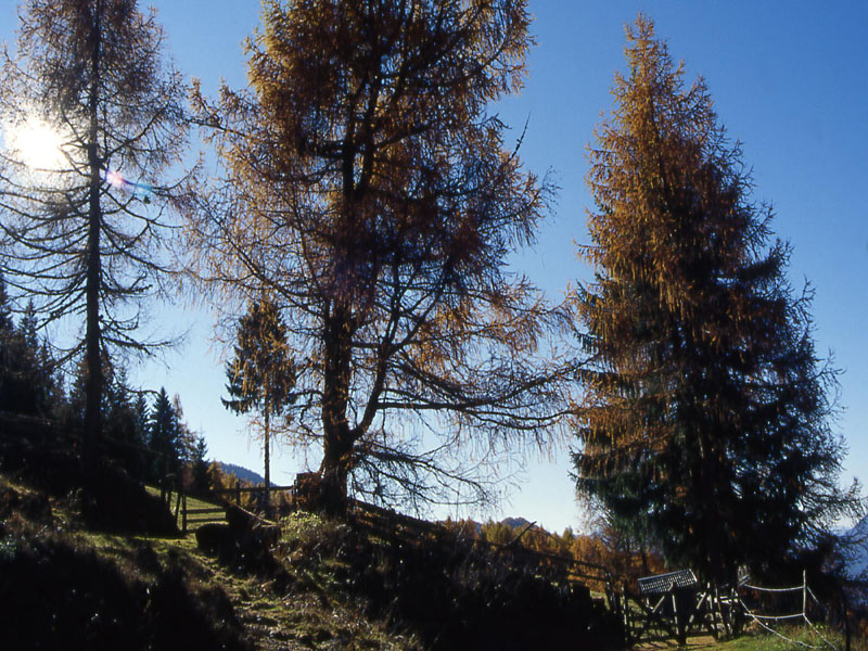 Monte Gronlait..........escursione