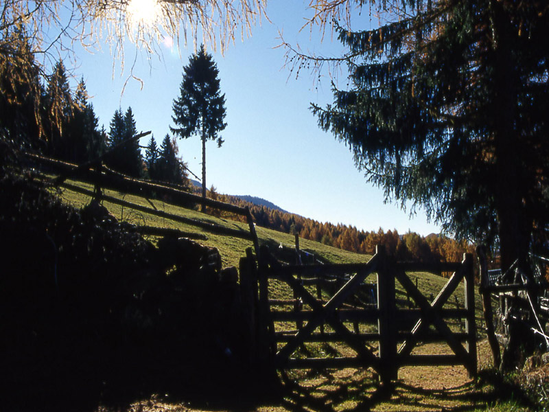 Monte Gronlait..........escursione