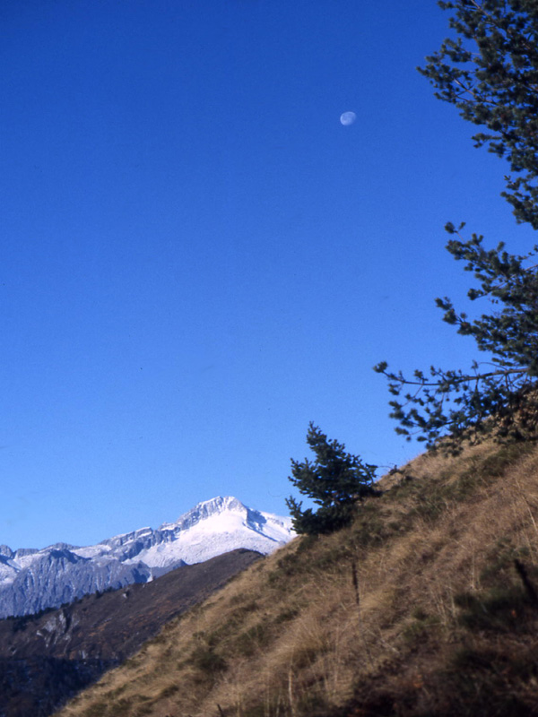 Crz delle Pozze....Monte Brugnl.......escursione