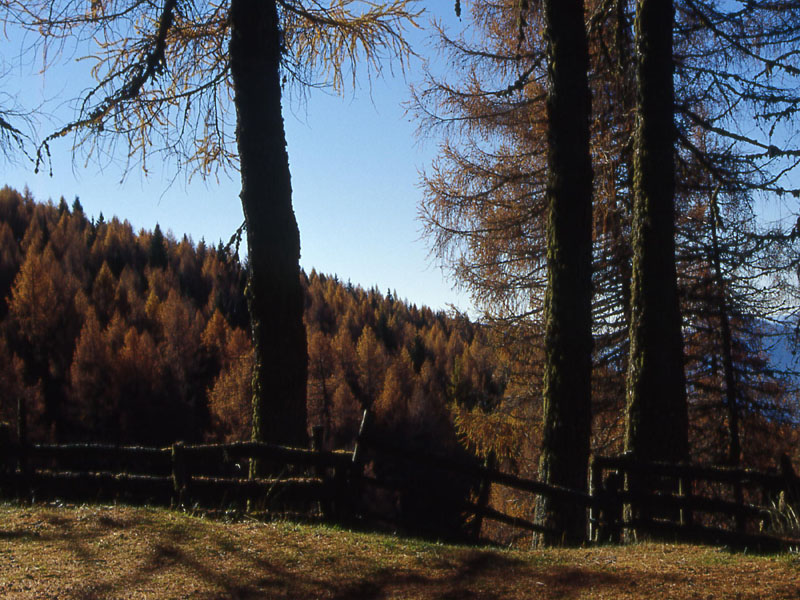 Monte Gronlait..........escursione