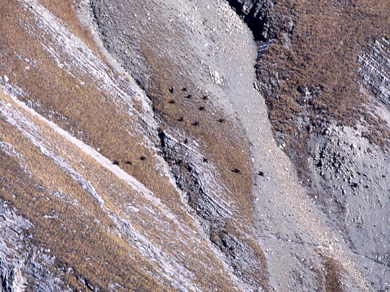 Crz delle Pozze....Monte Brugnl.......escursione