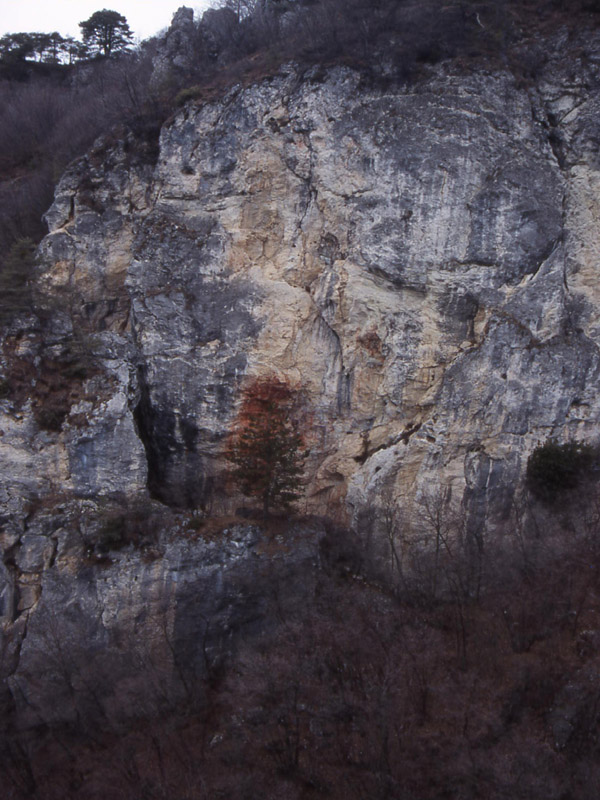 Esplorazione e salita......... al Monte Mezzana