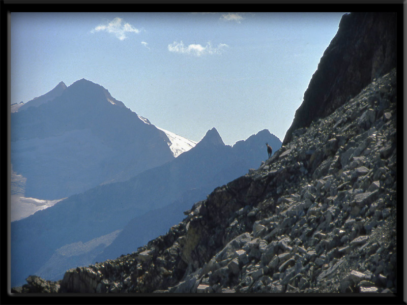 Monte Crcen ............escursione