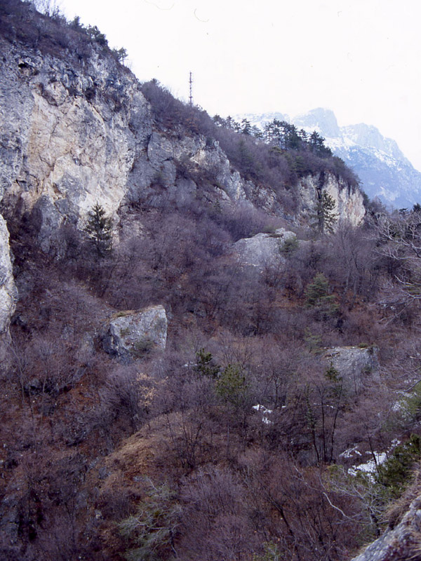 Esplorazione e salita......... al Monte Mezzana