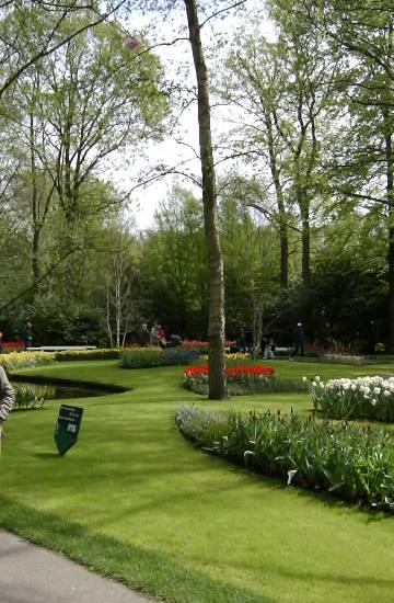 Keukenhoff park  Amsterdam Netherland