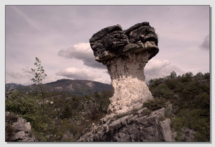 Il fungo di Albaredo (ho sbagliato sezione?)