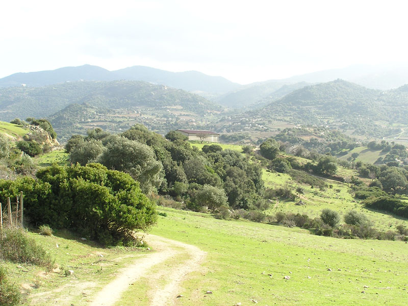 Sardegna - Orgosolo