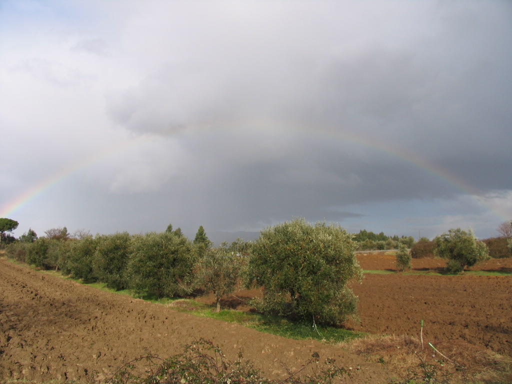 Arcobaleno