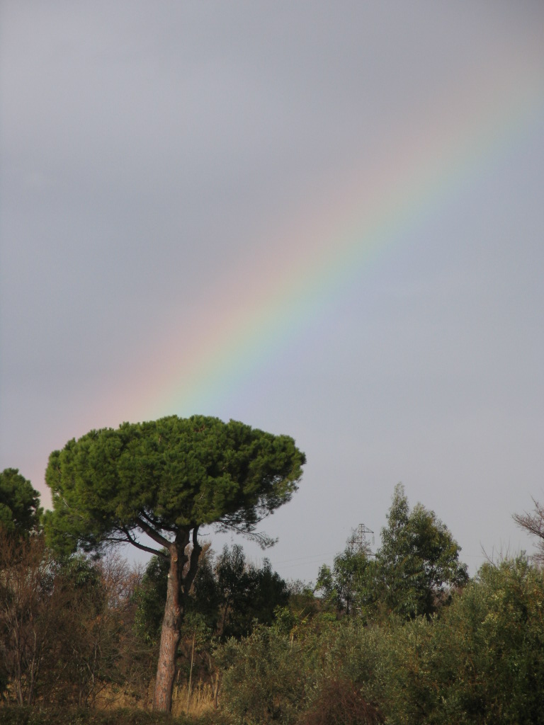 Arcobaleno