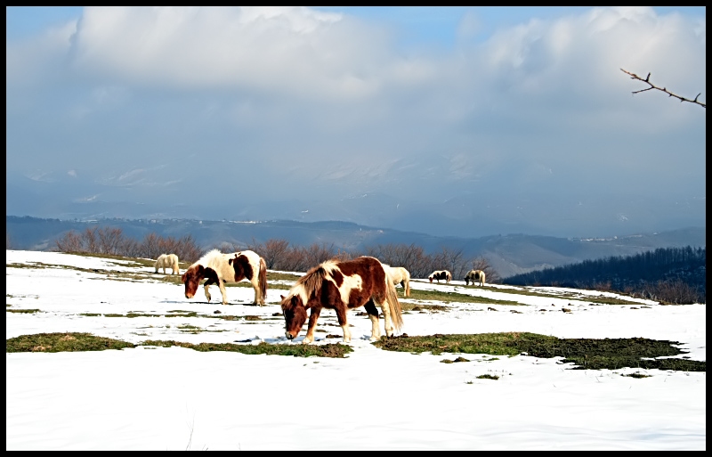 Immagini dall''abruzzo