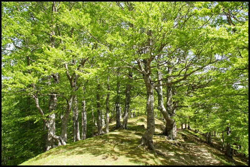 Immagini dall''abruzzo