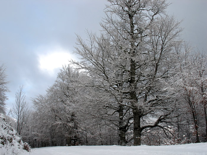 Immagini dall''abruzzo