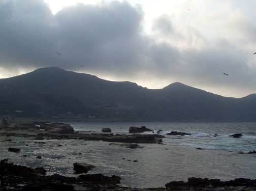 Favignana, la grande farfalla