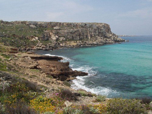 Favignana, la grande farfalla