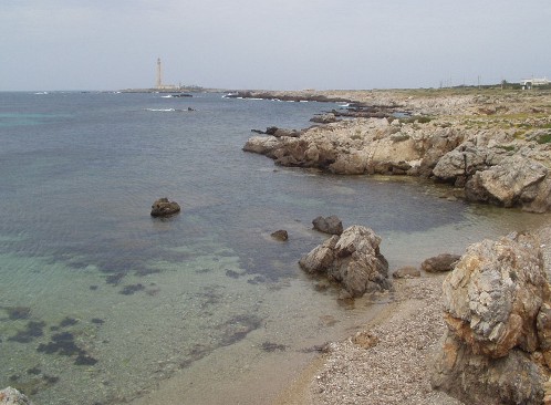 Favignana, la grande farfalla