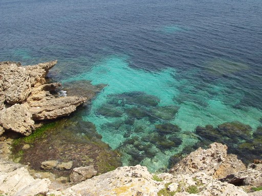 Favignana, la grande farfalla