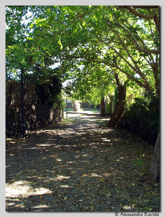 La Strada delle Chiazzette