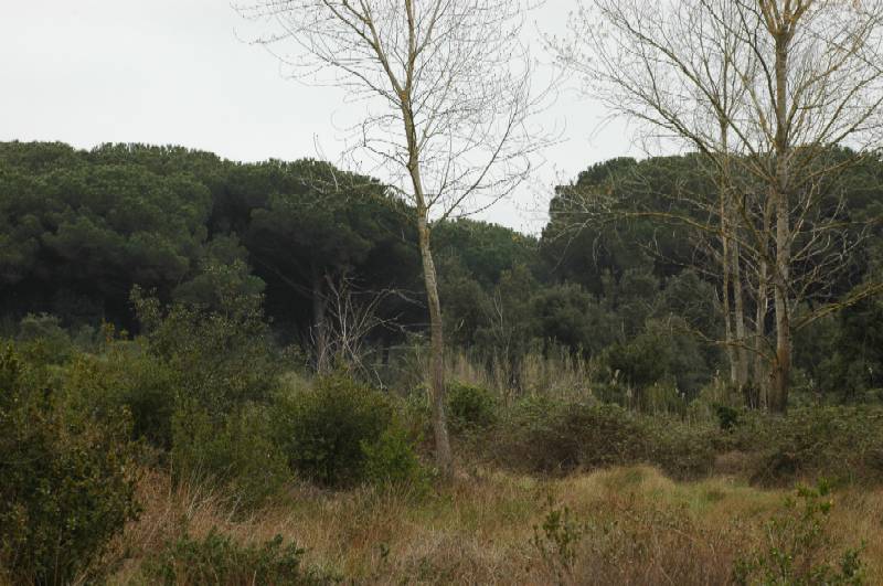 Passeggiata di prova