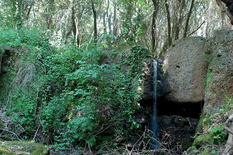 Nei pressi della necropoli di Cerveteri