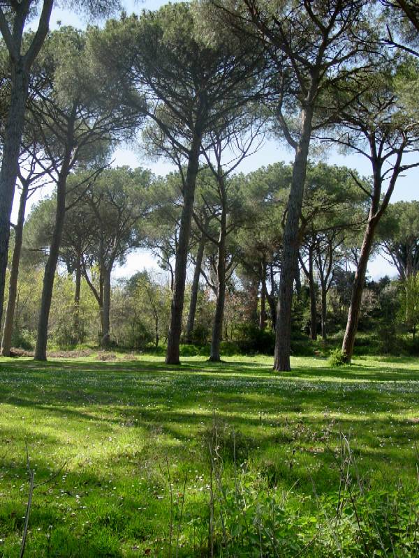 Il Borgo medievale di Ceri