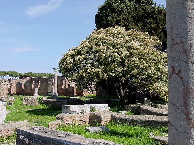 Ostia Antica