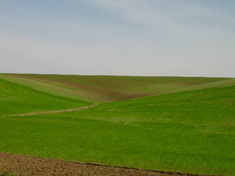 Campagna e boschi intorno a Cerveteri