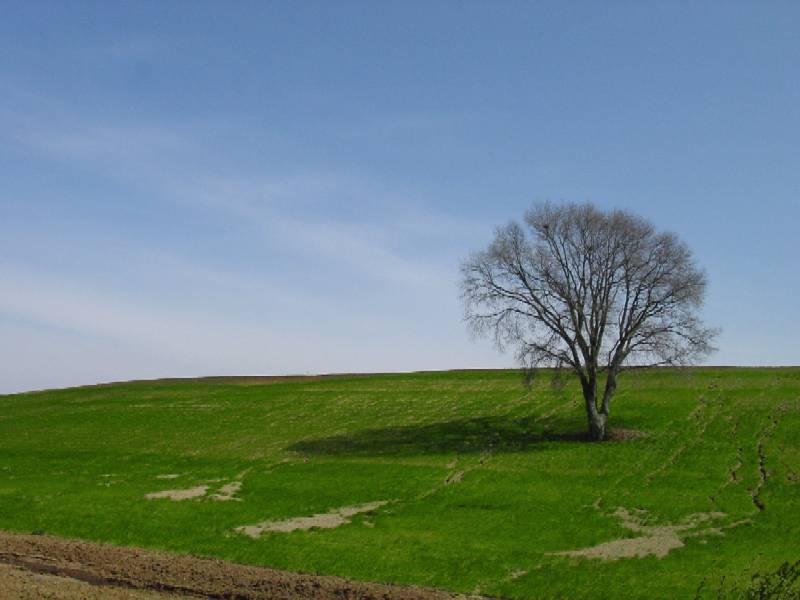 Campagna e boschi intorno a Cerveteri