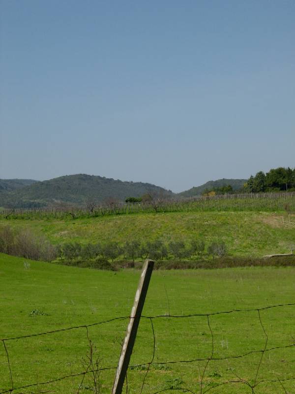 Campagna e boschi intorno a Cerveteri