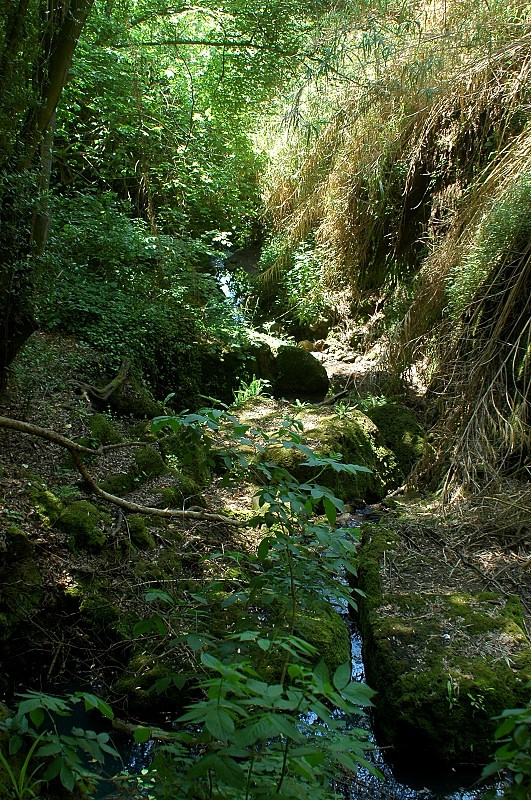 Nei pressi della necropoli di Cerveteri