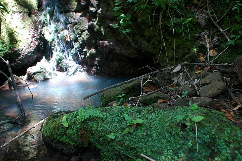 Nei pressi della necropoli di Cerveteri