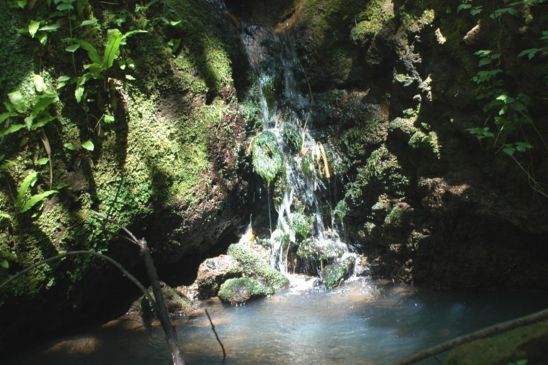 Nei pressi della necropoli di Cerveteri