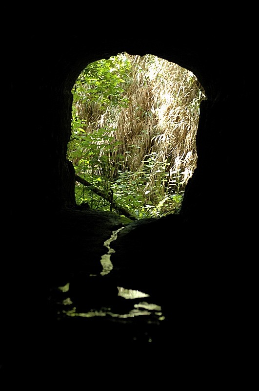 Nei pressi della necropoli di Cerveteri