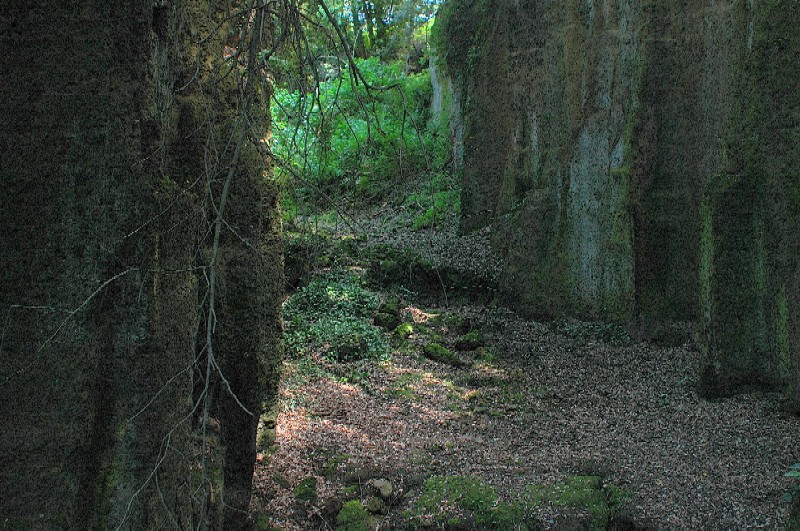 Nei pressi della necropoli di Cerveteri