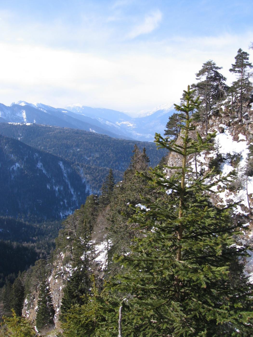 monte Roen (2116 m), domenica scorsa