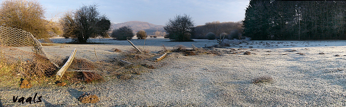 Cerquone - Doganella