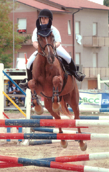 Dopo gatti e cani parliamo del Cavallo?