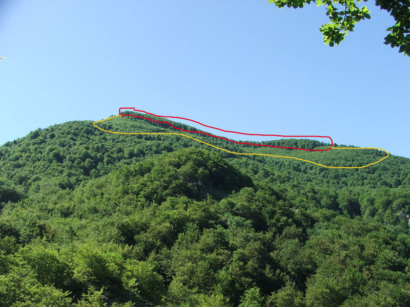 Tagli nel Parco Nazionale del Pollino