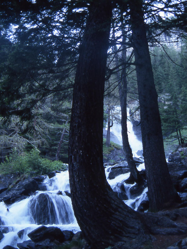 Val di Rabbi.....alle cascate...prima parte