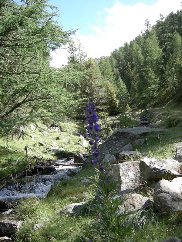 Laghi del Covolo.......escursione e prima parte