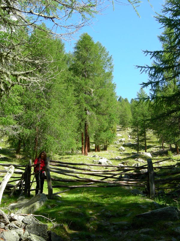 Laghi del Covolo.......escursione e prima parte