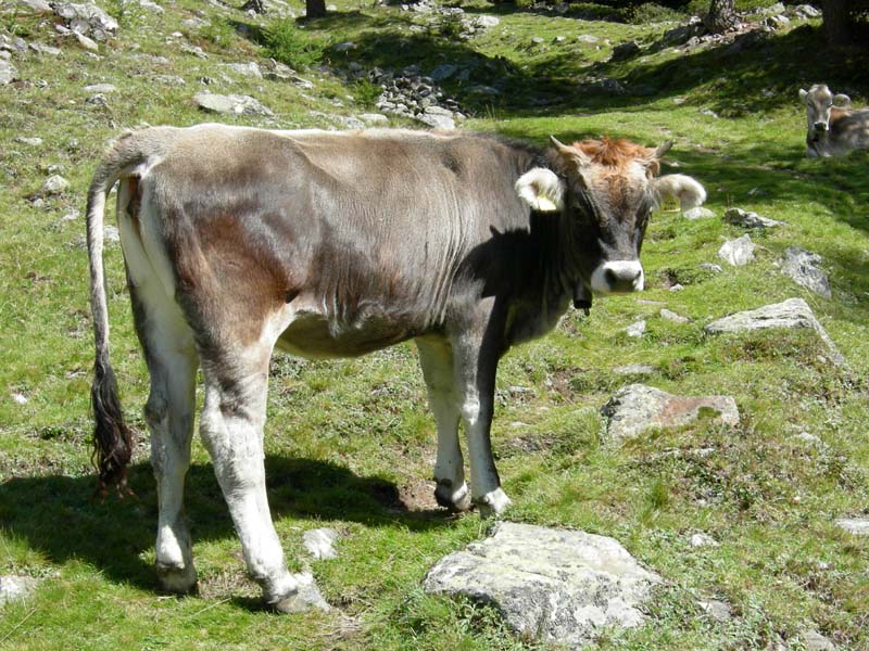 Laghi del Covolo.......escursione e prima parte