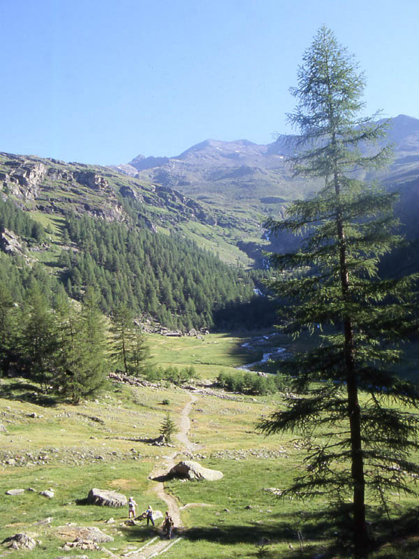 Val di Rabbi.....alle cascate...prima parte