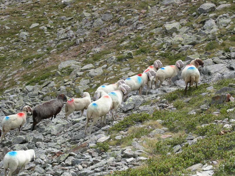 Laghi del Covolo.......escursione e prima parte